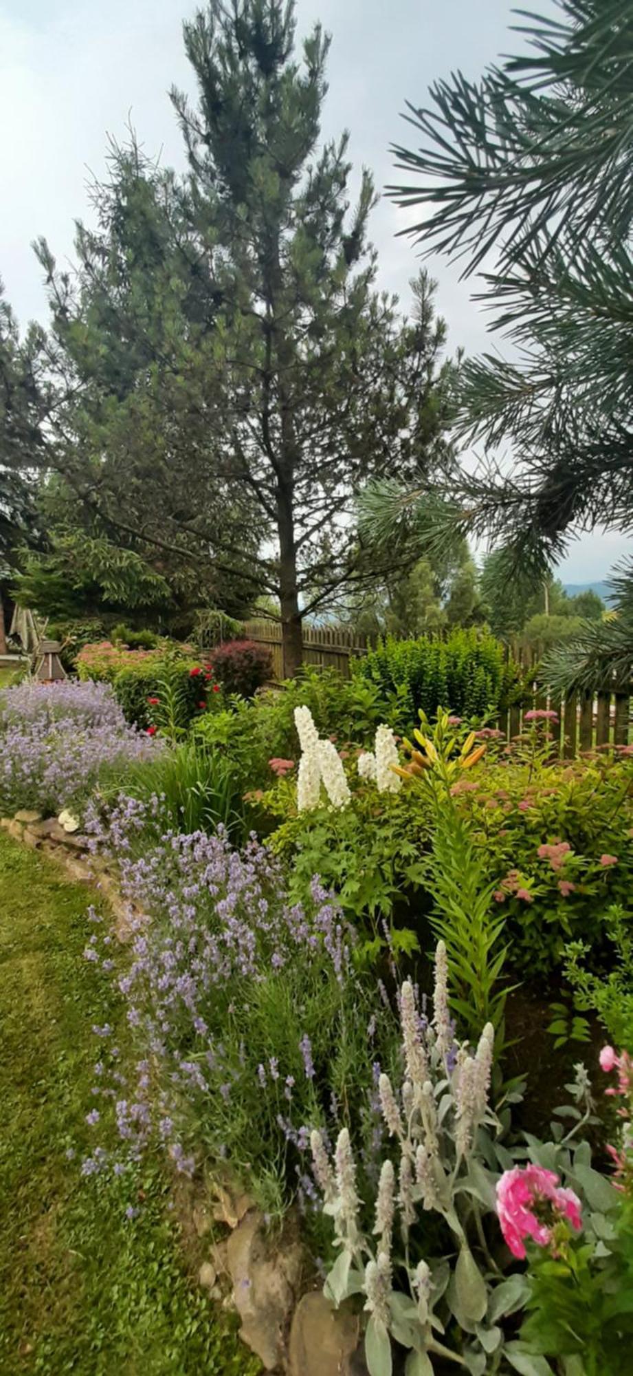 Mizerna Lily Garden Bed & Breakfast エクステリア 写真