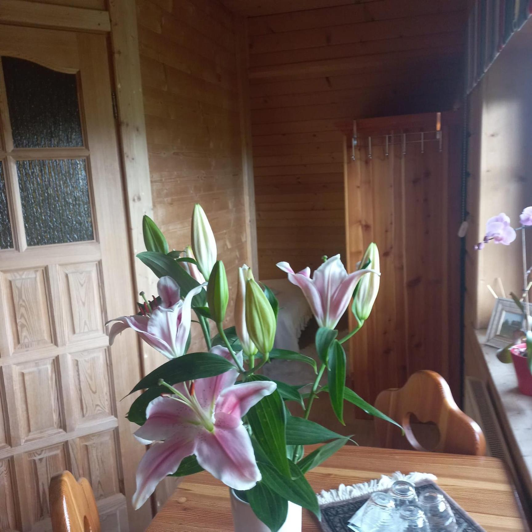 Mizerna Lily Garden Bed & Breakfast エクステリア 写真